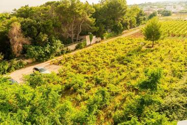 Chill Garden Experience B&b