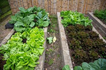 فندق صغير Pousada Vilarejo Do Quim