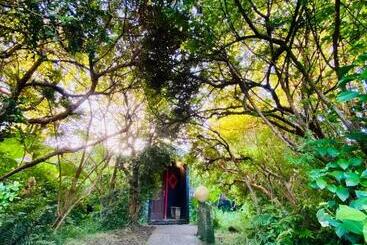 Pensjonat Parador Darwin