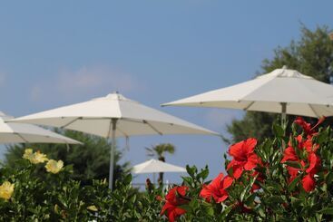 酒店 Bv Kalafiorita Resort