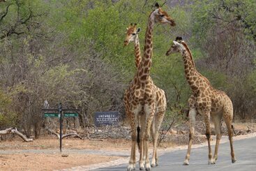 Hotel Unembeza Boutique Lodge & Spa