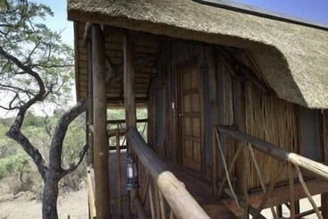 Hotel Lion Tree Top Lodge