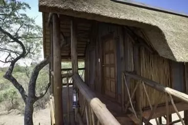 ホテル Lion Tree Top Lodge