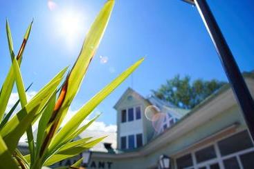 Отель Villa Bea Panzió