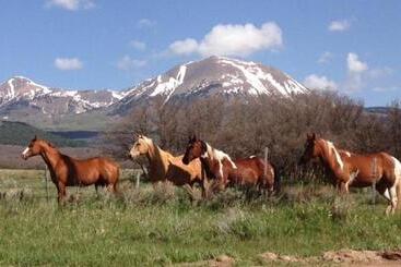 Bed and Breakfast Mount Peale Country Inn