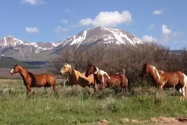 Aamiaismajoitus (B&B) Mount Peale Country Inn