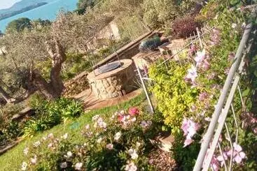 Pensjonat Olivo Bonsai