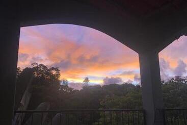 تختخواب و صبحانه The Traveler Palm B And B