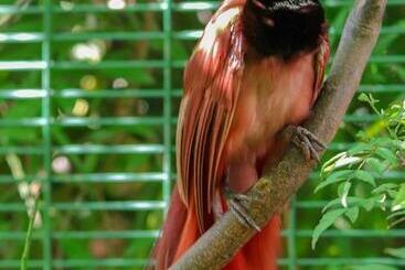 The Sanctuary Hotel Resort Spa