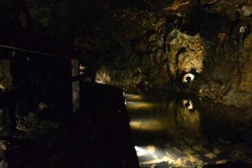 ベッドアンドブレックファースト Gavalier Design Rooms