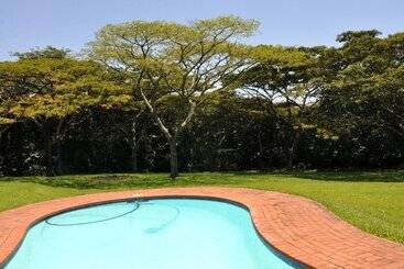 Birds Of Paradise B&b