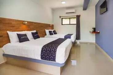 Hotel Pejelagarto