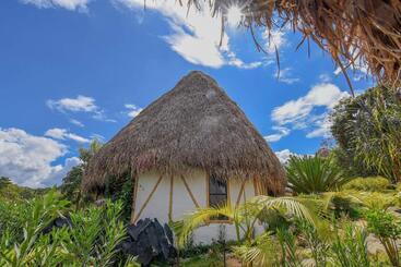 Hotel San Augustin Suite With Mountain View Colombia