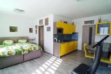 Aamiaismajoitus (B&B) Penzion Stříbrný Vítr