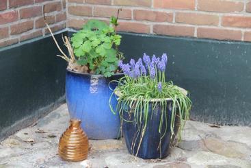 游客公寓 B&b In De Backerije