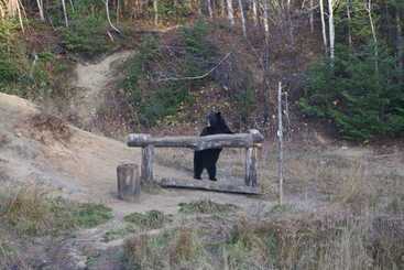 مبيت وإفطار Gite Au Vieux Pommier