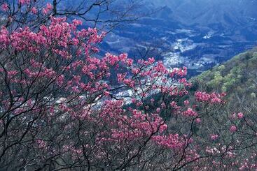 료칸 Yama No Yado Shimofujiya