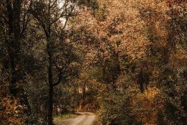 تختخواب و صبحانه Paratgea