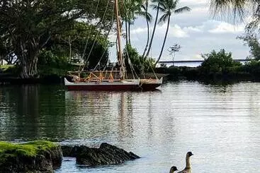 Otel Hilo Reeds Bay