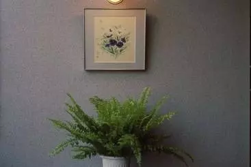 Hotel Ichinomiya Green