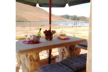 קוטג'' Fox And Squirrel