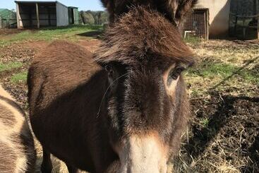 Pump Hill Farm Cottages