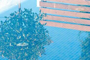 בית מלון כפרי The Oak