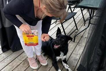 مبيت وإفطار Adams Inn