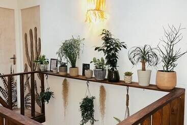 بنسيون Guest House Folk Inn