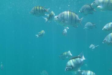 Otel Espaço álacre Paraty