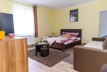 هتل آپارتمان Vila Misljenovic, U Centru Sokobanje, Na Pesackoj Zoni