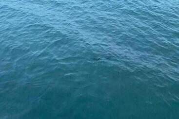 Bed and Breakfast Yakamoz Motel & Restaurant