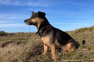 Pension Logierhaus Extra