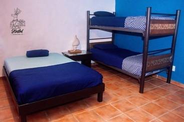 Hostel Venado 8
