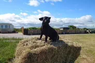 コテージ Watergate Lane Hideout