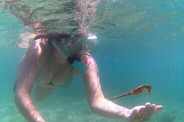 Schronisko Sentigi Homestay Gili Gede