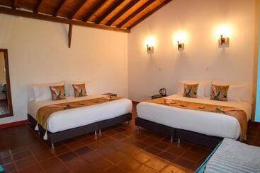 Auberge Hôtelière Dreamer Cocora