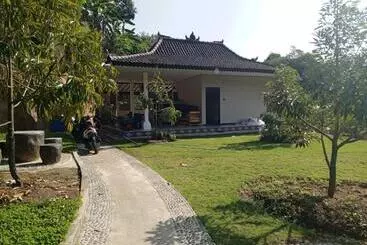 Pensió Kubu D  Teba