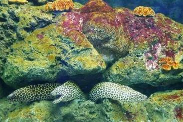 Hotel Rungroj Panich