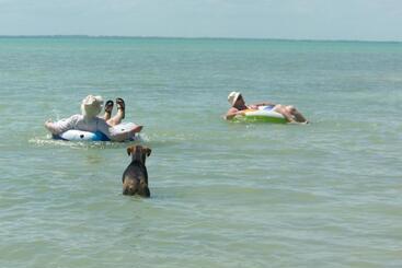 تختخواب و صبحانه Serenity Sands