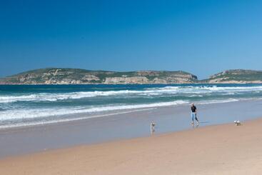 Dolphins' Playground Beachfront B&b