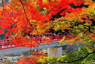 בית מלון כפרי Sanco Inn Toyota