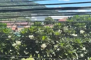 Majatalo Noahs Ark Suites