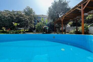 هتل Favorite Preferred Macaw