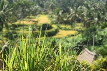 旅馆 Kaki Uma Villa