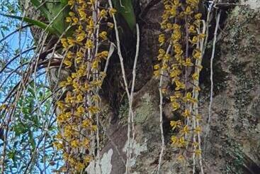 Pension Couples Accessible Cabin, Zarina Country Cabins, 6