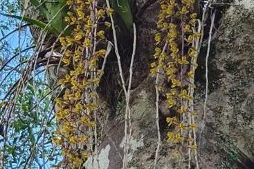 Majatalo Couples Accessible Cabin, Zarina Country Cabins, 6