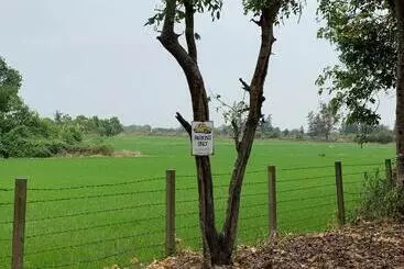 Hostel The Peppermint Barn