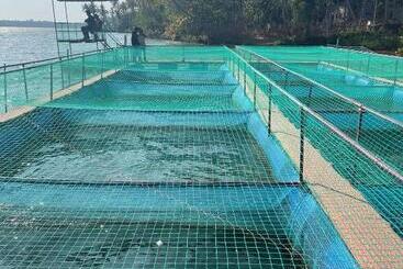 Pensión Kayaltheeram Resort & Homestay