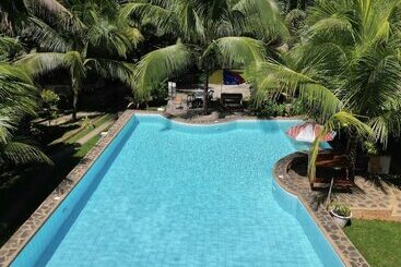 Eco Glamping Treehouses Closest Resort To All Tourist Attractions